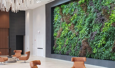 Connecting Living Walls and IoT Data to the Cloud